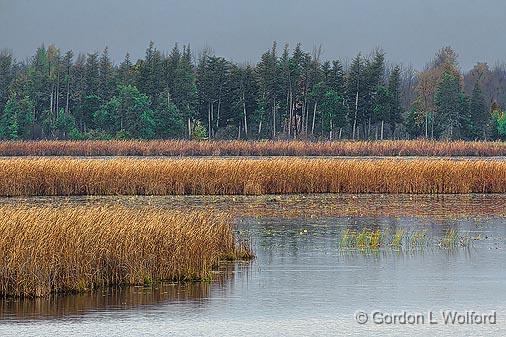 The Swale_18311.jpg - Photographed along the Rideau Canal Waterway at Smiths Falls, Ontario, Canada.